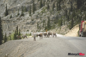 Motorcycle-Mojo_49_Alaska